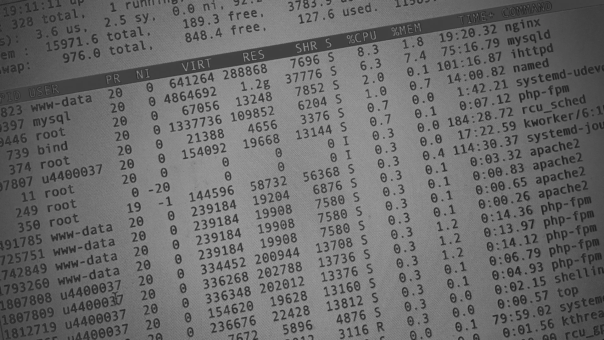 Настройка сервера в Тынде