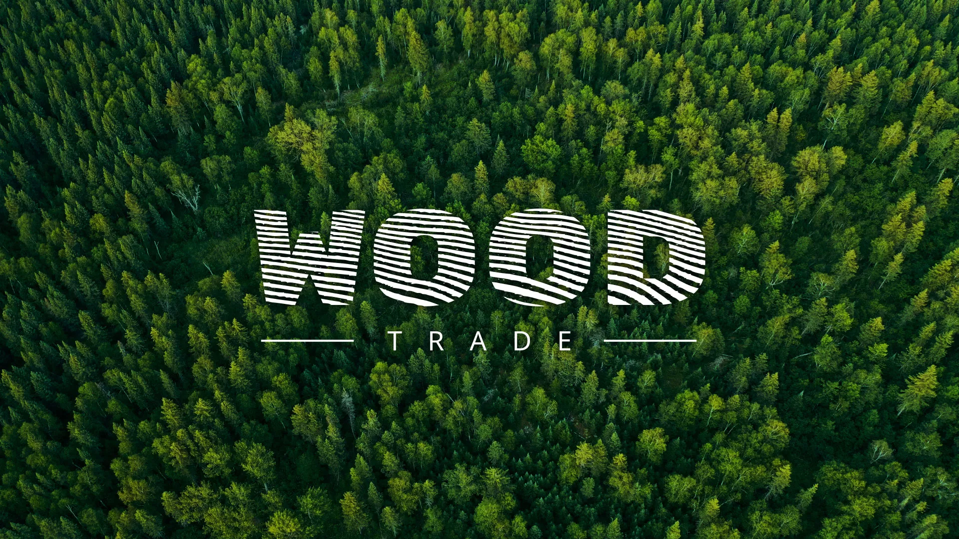 Разработка интернет-магазина компании «Wood Trade» в Тынде
