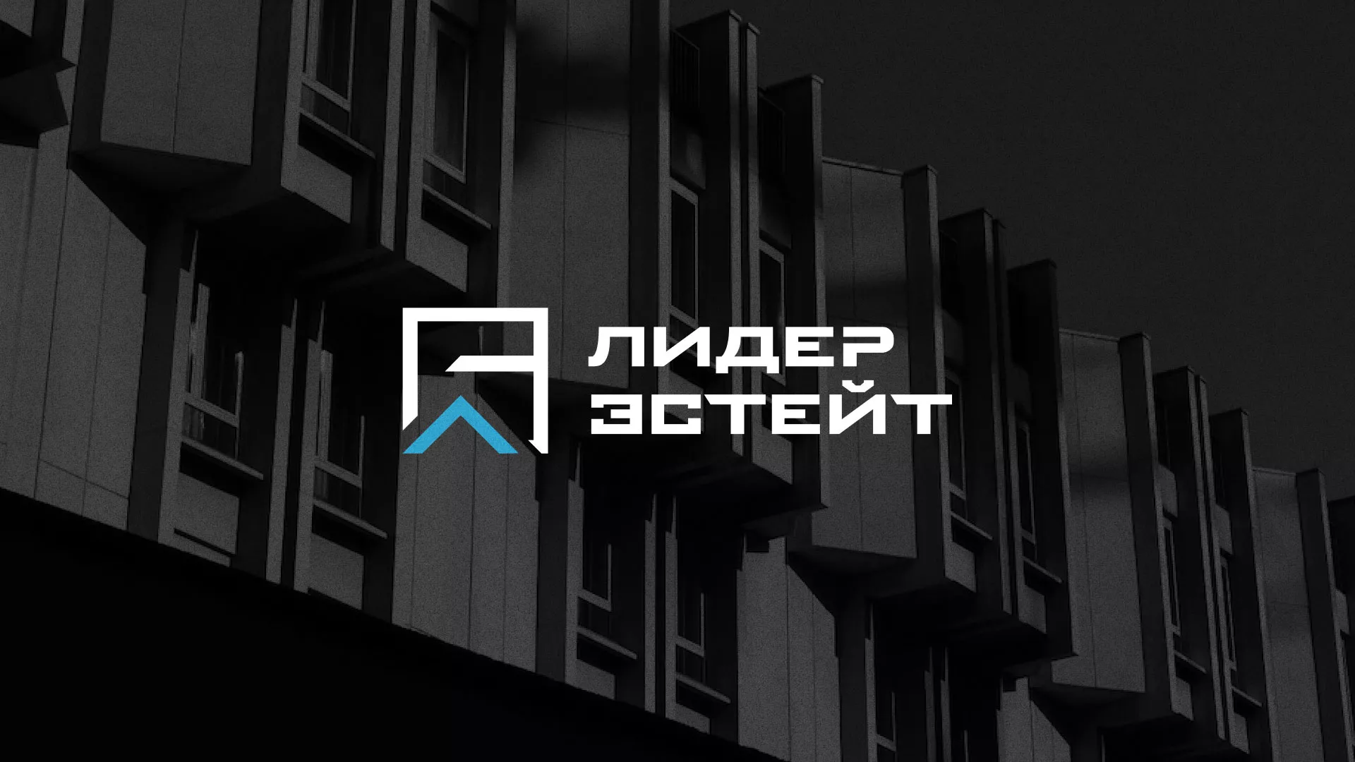 Разработка логотипа агентства недвижимости «Лидер Эстейт» в Тынде